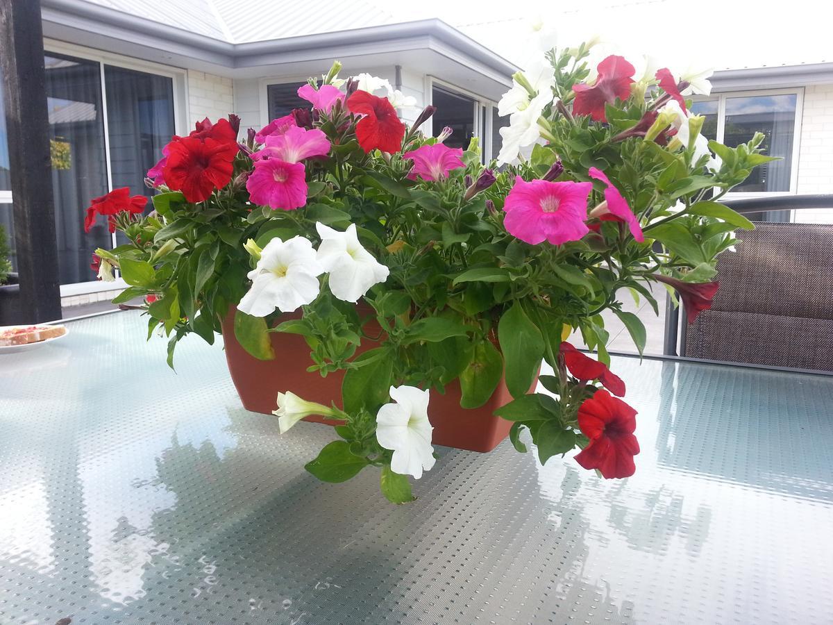 Courtenay B & B Kaiapoi Bagian luar foto